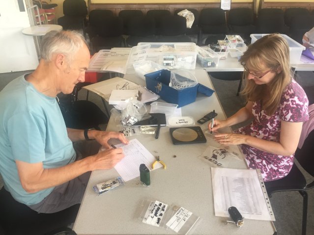 38391447_1777090995661646_6888996726670098432_o