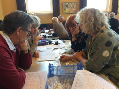 42665024_1853743721329706_1375494196013563904_o