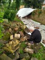 71000760_2414637031907036_5569765086110679040_n